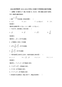 [数学][期末]河北省邯郸市2023-2024学年八年级下学期期末数学试题(解析版)