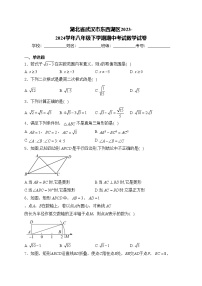 湖北省武汉市东西湖区2023-2024学年八年级下学期期中考试数学试卷(含答案)