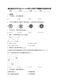 湖北省武汉市洪山区2023-2024学年七年级下学期期中考试数学试卷(含答案)