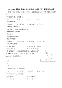 2023-2024学年安徽省亳州市涡阳县七年级（下）期末数学试卷（含详细答案解析）