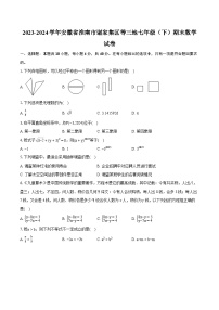 2023-2024学年安徽省淮南市谢家集区等三地七年级（下）期末数学试卷（含详细答案解析）