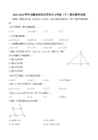 2023-2024学年安徽省阜阳市界首市七年级（下）期末数学试卷（含详细答案解析）