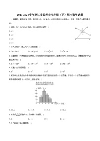 2023-2024学年浙江省温州市七年级（下）期末数学试卷（含详细答案解析）