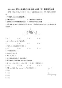 2023-2024学年山东省临沂市临沭县七年级（下）期末数学试卷(含详细答案解析)