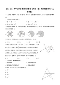 2023-2024学年山东省泰安市新泰市七年级（下）期末数学试卷（五四学制）(含详细答案解析)