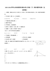 2023-2024学年山东省淄博市桓台县七年级（下）期末数学试卷（五四学制）(含详细答案解析)