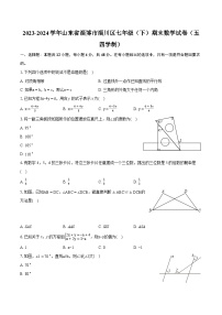 2023-2024学年山东省淄博市淄川区七年级（下）期末数学试卷（五四学制）(含详细答案解析)
