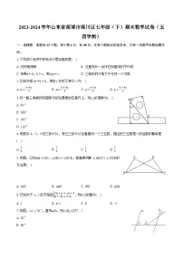 2023-2024学年山东省淄博市淄川区七年级（下）期末数学试卷（五四学制）(含详细答案解析)