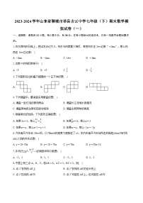 2023-2024学年山东省聊城市莘县古云中学七年级（下）期末数学模拟试卷（一）(含详细答案解析)