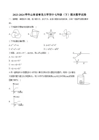 2023-2024学年山东省青岛大学附中七年级（下）期末数学试卷(含详细答案解析)