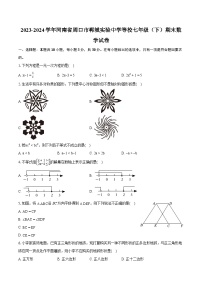 2023-2024学年河南省周口市郸城实验中学等校七年级（下）期末数学试卷(含详细答案解析)