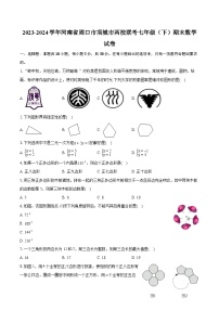 2023-2024学年河南省周口市项城市两校联考七年级（下）期末数学试卷(含详细答案解析)