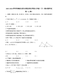 2023-2024学年河南省安阳市滑县师达学校七年级（下）期末数学试卷（A卷）(含详细答案解析)