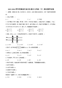 2023-2024学年河南省许昌市长葛市七年级（下）期末数学试卷(含详细答案解析)