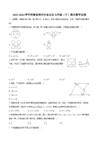 2023-2024学年河南省郑州市金水区七年级（下）期末数学试卷(含详细答案解析)