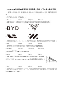 2023-2024学年河南省驻马店市泌阳县七年级（下）期末数学试卷(含详细答案解析)