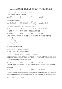2023-2024学年安徽省马鞍山七中八年级（下）期末数学试卷 （含解析）