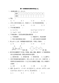 华师版数学八上 第一学期期末学情评估试卷