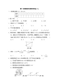 华师版数学八上 第一学期期末学情评估试卷