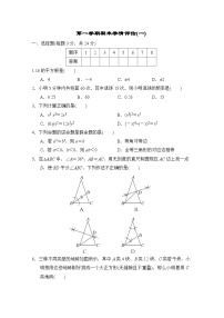 华师版数学八上期末学情评估试卷