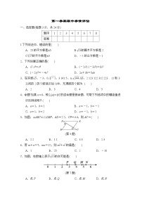 华师版数学八上 期中学情评估试卷