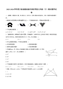 2023-2024学年四川省成都实验外国语学校七年级（下）期末数学试卷（含详细答案解析）