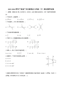 2023-2024学年广东省广州市番禺区七年级（下）期末数学试卷（含详细答案解析）
