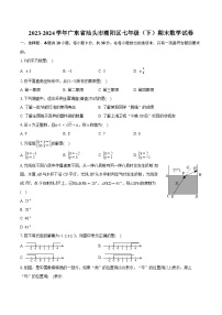 2023-2024学年广东省汕头市潮阳区七年级（下）期末数学试卷（含详细答案解析）