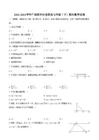 2023-2024学年广西梧州市苍梧县七年级（下）期末数学试卷（含详细答案解析）