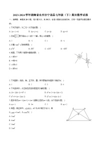 2023-2024学年湖南省永州市宁远县七年级（下）期末数学试卷（含详细答案解析）