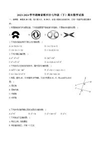 2023-2024学年湖南省郴州市七年级（下）期末数学试卷（含详细答案解析）