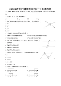 2023-2024学年贵州省黔东南州七年级（下）期末数学试卷（含详细答案解析）