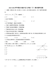 2023-2024学年重庆市渝中区七年级（下）期末数学试卷（含详细答案解析）
