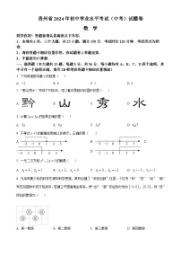 2024年贵州省中考数学试题（2份打包，原卷版+解析版）