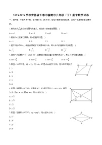 2023-2024学年吉林省长春市榆树市八年级（下）期末数学试卷（含详细答案解析）