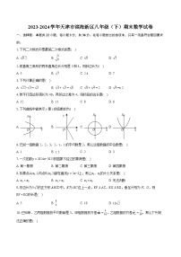 2023-2024学年天津市滨海新区八年级（下）期末数学试卷（含详细答案解析）