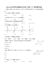 2023-2024学年河北省廊坊市安次区八年级（下）期末数学试卷（含详细答案解析）