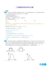 二次函数的实际应用（21题）--2024年中考数学真题分类汇编