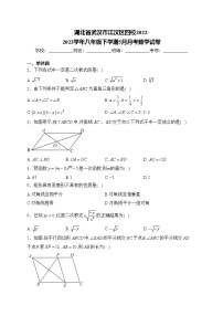 湖北省武汉市江汉区四校2022-2023学年八年级下学期5月月考数学试卷(含答案)