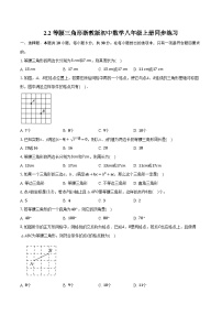 初中数学浙教版八年级上册2.2 等腰三角形优秀精练