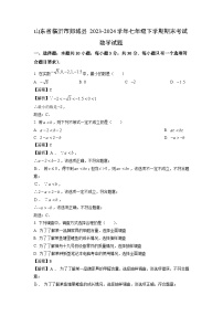 [数学][期末]山东省临沂市郯城县2023-2024学年七年级下学期期末考试试题(解析版)