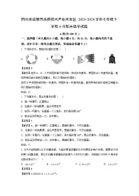 [数学][期末]四川省成都市高新技术产业开发区2023-2024学年七年级下学期6月期末试题(解析版)