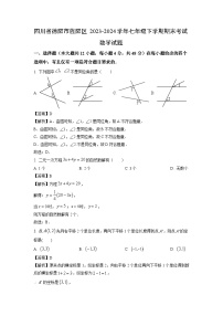 [数学][期末]四川省德阳市旌阳区2023-2024学年七年级下学期期末考试试题(解析版)