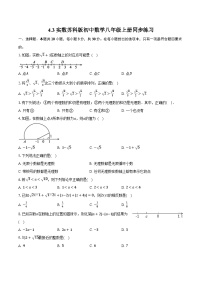 数学八年级上册4.3 实数优秀测试题