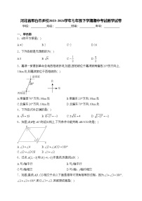 河北省邢台市多校2023-2024学年七年级下学期期中考试数学试卷(含答案)