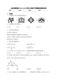 [数学][期末]山东省聊城市2023～2024学年八年级下学期期末数学试卷(有详细答案)