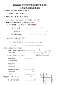 广东省惠州市博罗县2023-2024学年八年级下学期期末考试数学试题