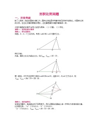 初中数学中考复习专题满分秘籍讲义练习 面积比例问题