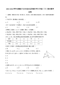 2023-2024学年安徽省六安市金安区皋城中学八年级（下）期末数学试卷（含详细答案解析）