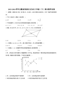 2023-2024学年安徽省芜湖市无为市八年级（下）期末数学试卷（含详细答案解析）